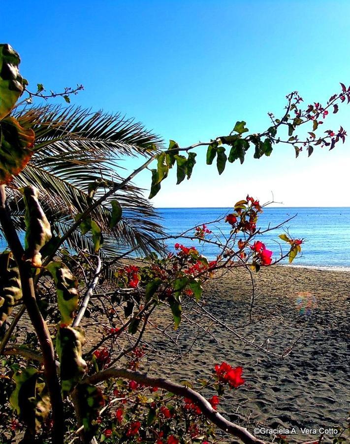 La Palmera. El Amanecer En El Parque Natural Agua Amarga  Exterior photo